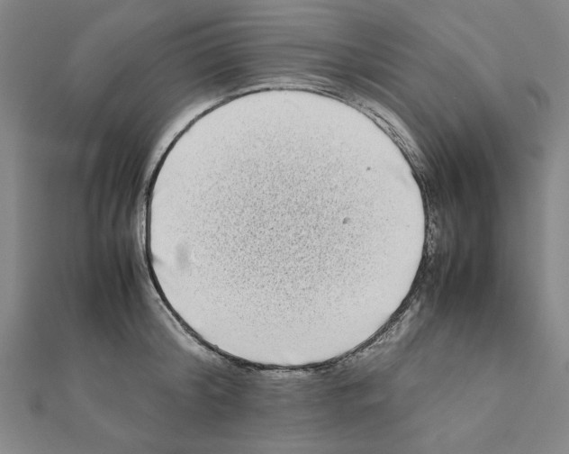 X0000111190804200908121046