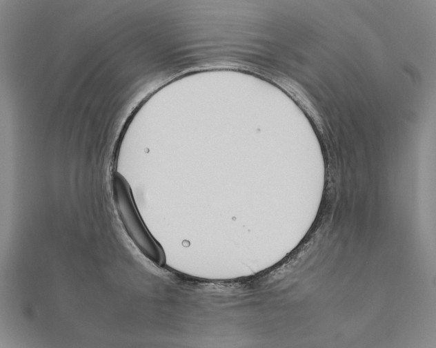 X0000111190805200908121046