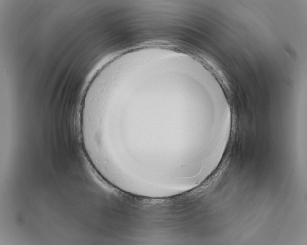 X0000111190808200908121046