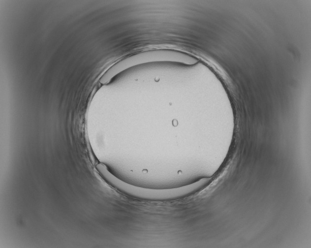 X0000111190809200908121046