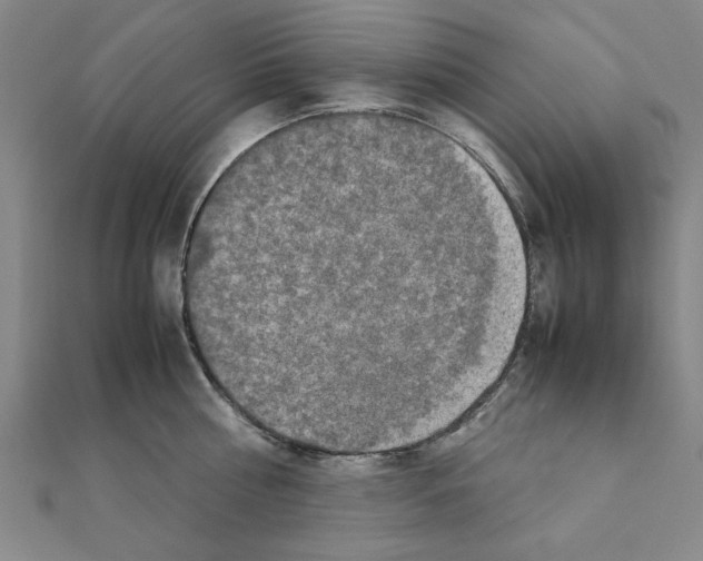 X0000111190810200908121046