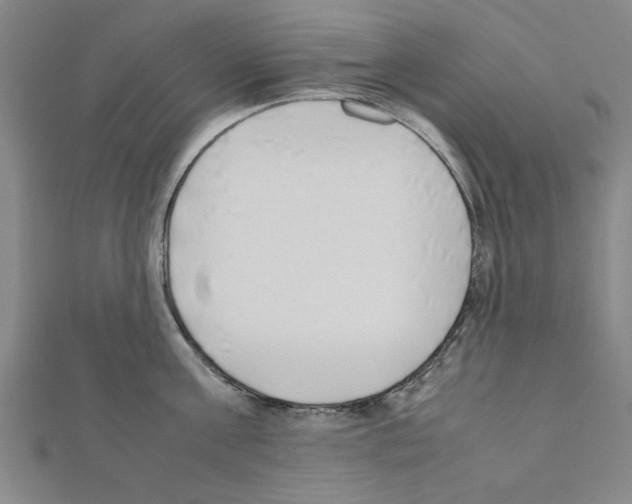 X0000111190811200908121046