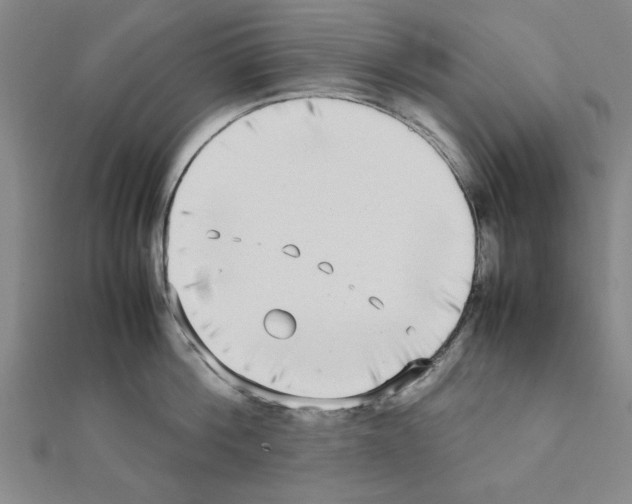 X0000111190812200908121046