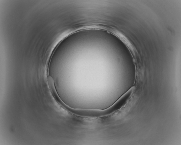 X0000111190813200908121046