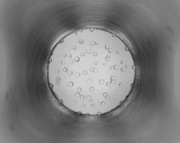 X0000111190814200908121046