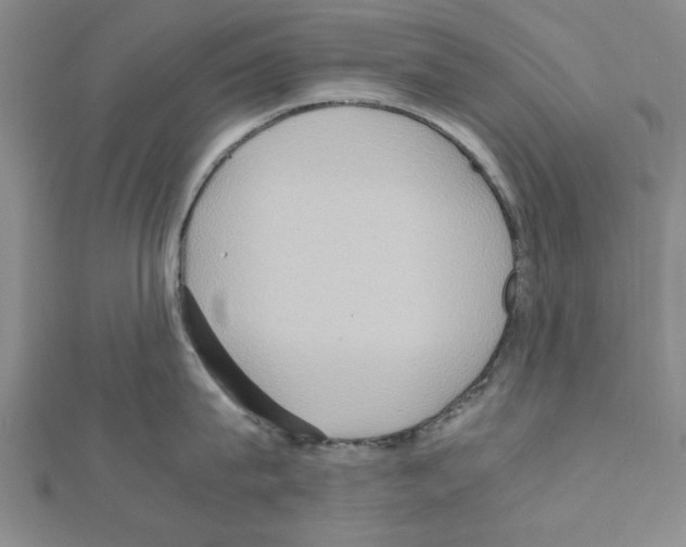 X0000111190815200908121046