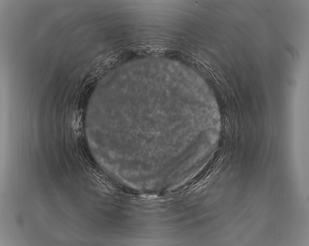 X0000111190818200908121045