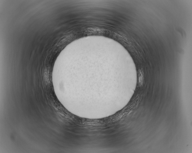 X0000111190819200908121045