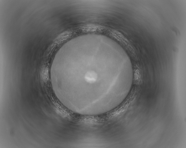 X0000111190820200908121045
