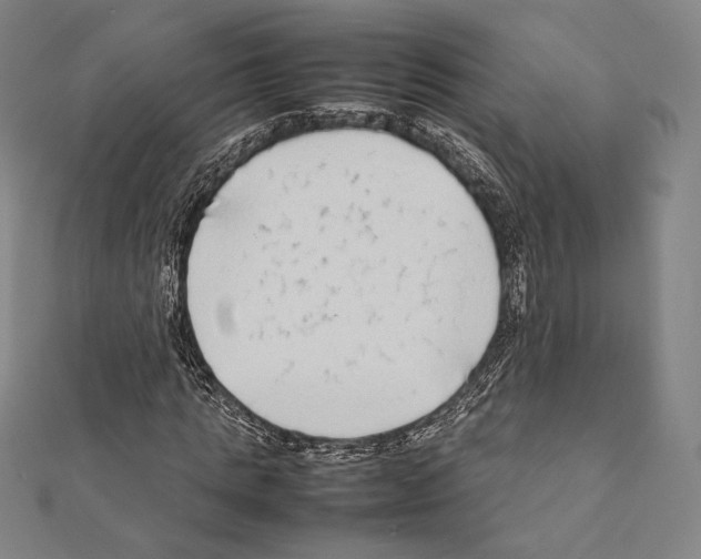 X0000111190821200908121045