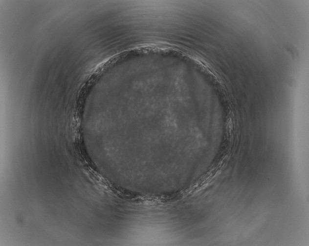 X0000111190822200908121045