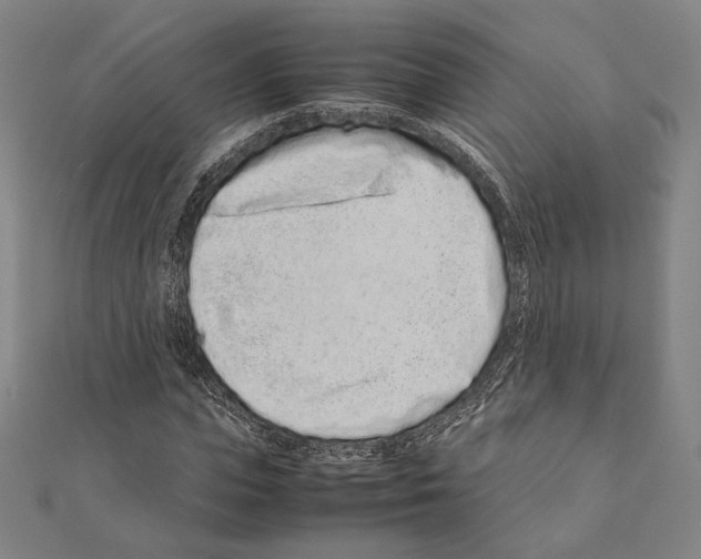 X0000111190823200908121045