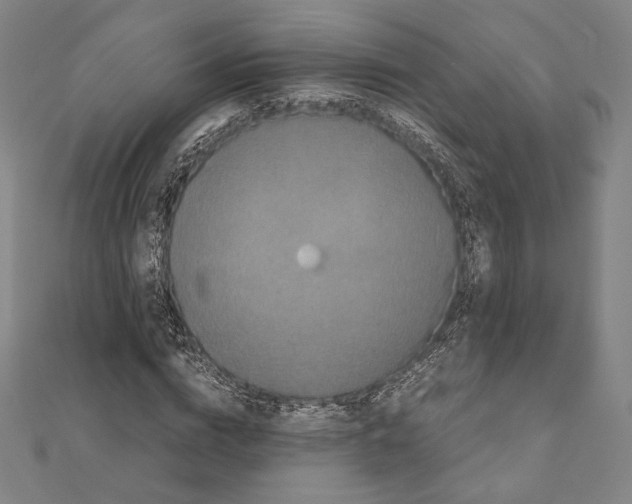 X0000111190824200908121045