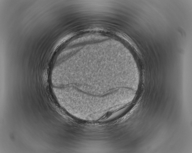 X0000111190826200908121045