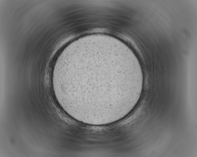 X0000111190827200908121045