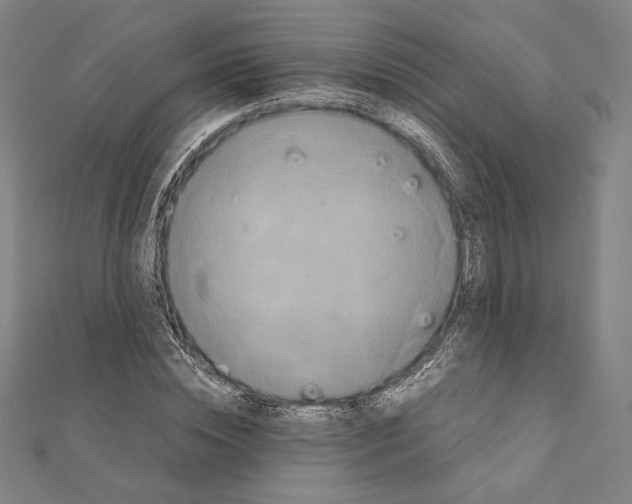 X0000111190828200908121045