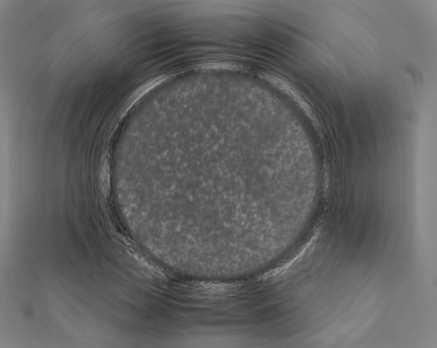 X0000111190829200908121045