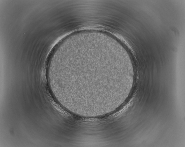 X0000111190830200908121045