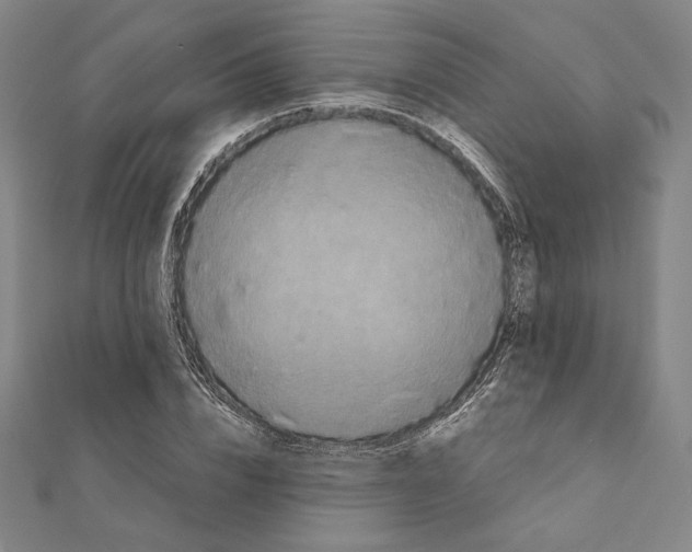 X0000111190832200908121045