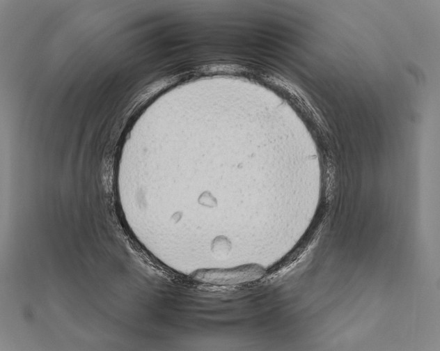 X0000111190833200908121045