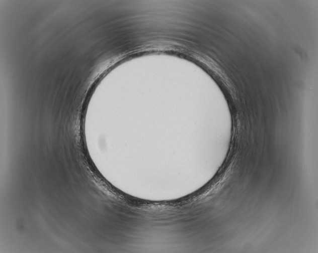 X0000111190834200908121045