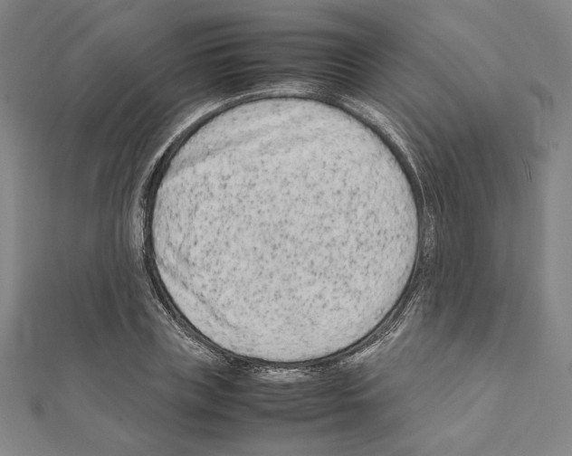 X0000111190835200908121045