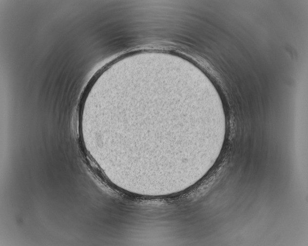 X0000111190838200908121045