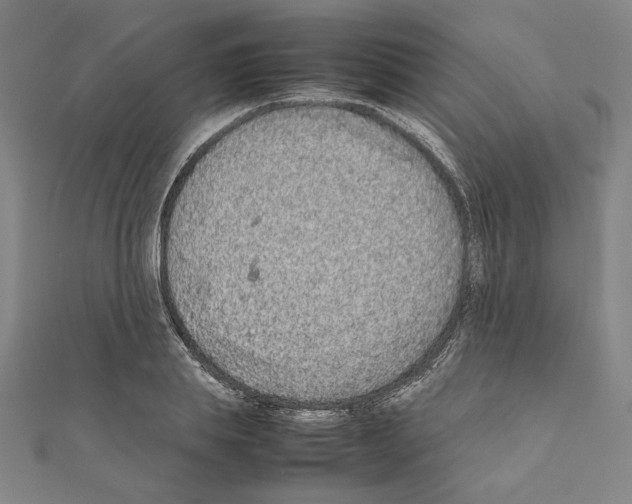 X0000111190839200908121045