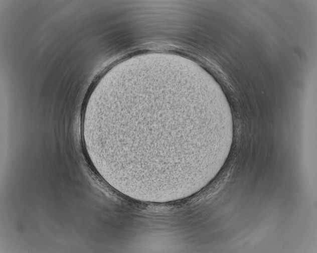 X0000111190840200908121045