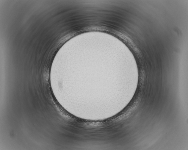 X0000111190841200908121045