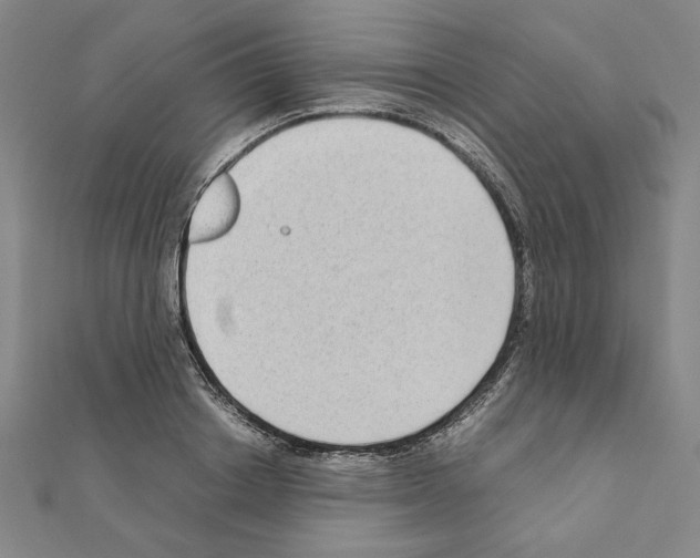 X0000111190842200908121045