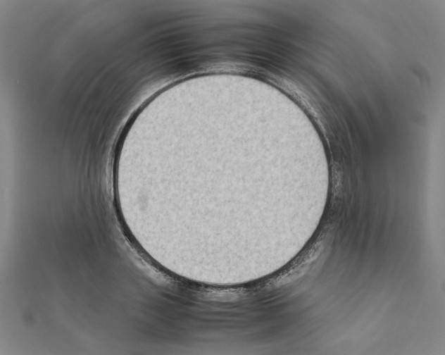 X0000111190843200908121045