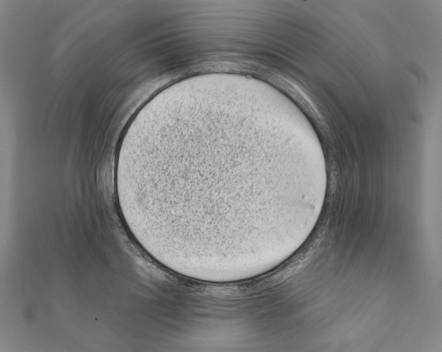 X0000111190844200908121045