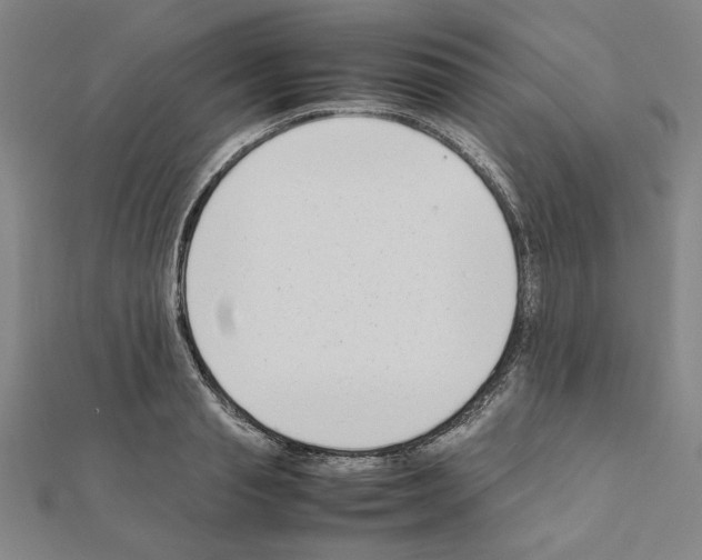 X0000111190845200908121045