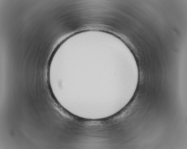 X0000111190846200908121045