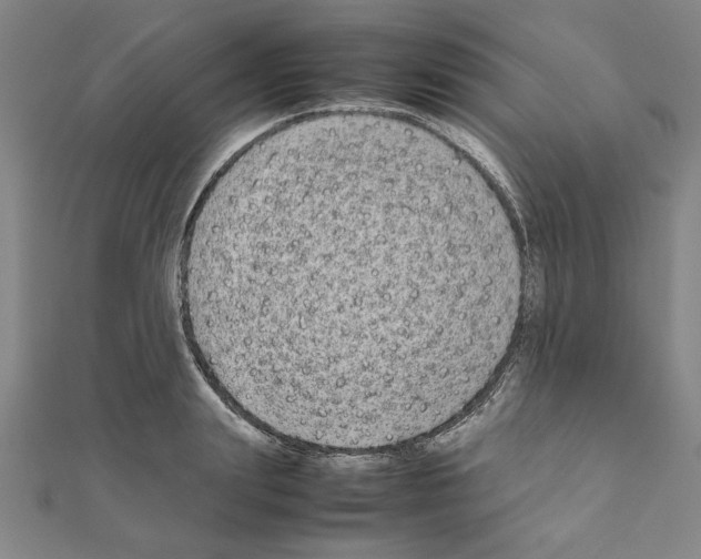 X0000111190847200908121045