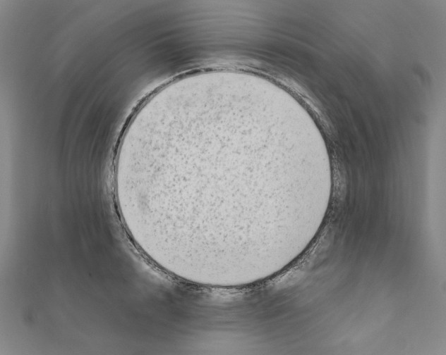 X0000111190848200908121045