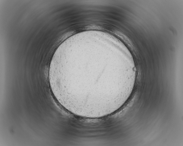 X0000111190849200908121045