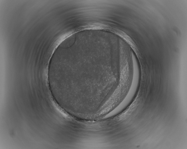 X0000111190850200908121045