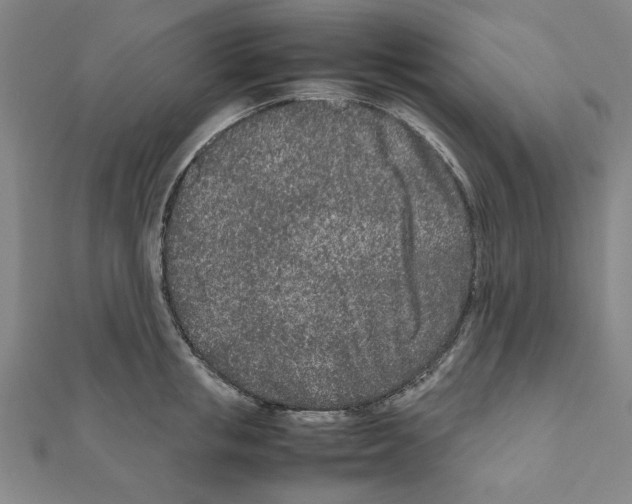 X0000111190853200908121045
