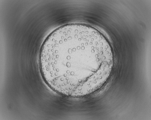X0000111190855200908121045