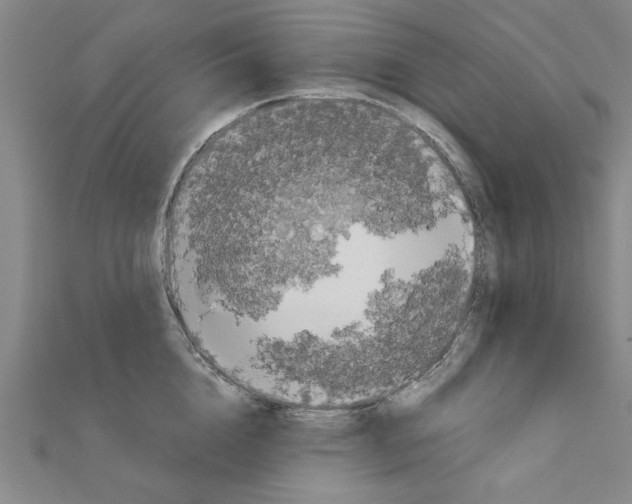 X0000111190856200908121045