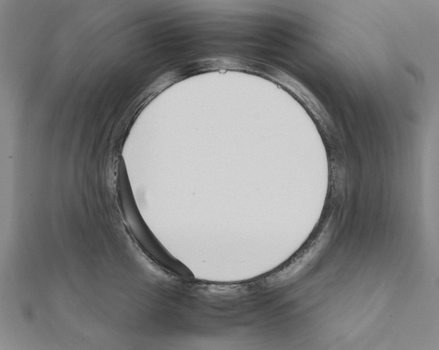 X0000111190857200908121045