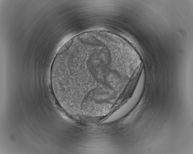 X0000111190858200908121045