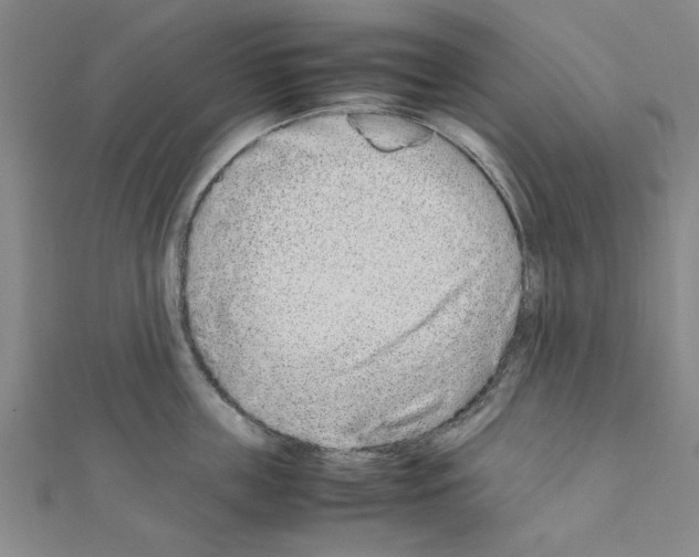 X0000111190859200908121045