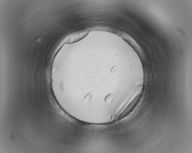 X0000111190860200908121045