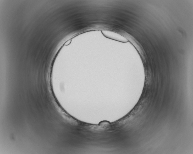 X0000111190861200908121046