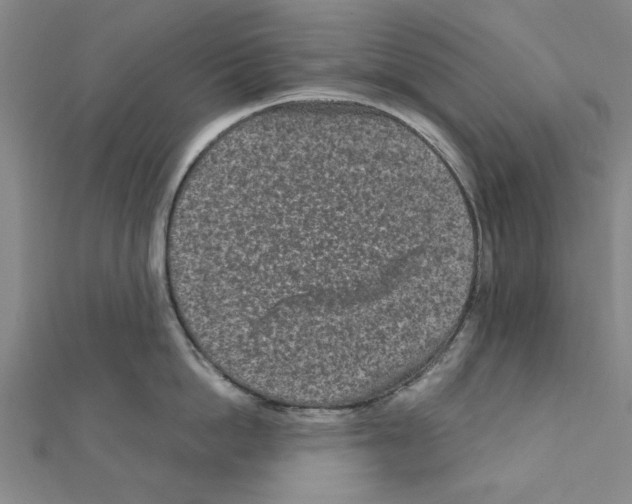 X0000111190862200908121046