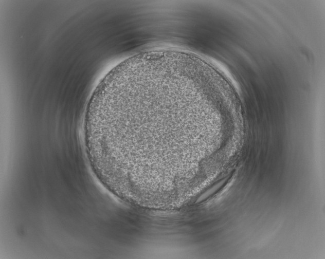 X0000111190863200908121046