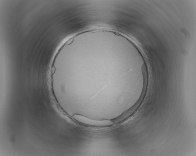 X0000111190864200908121046